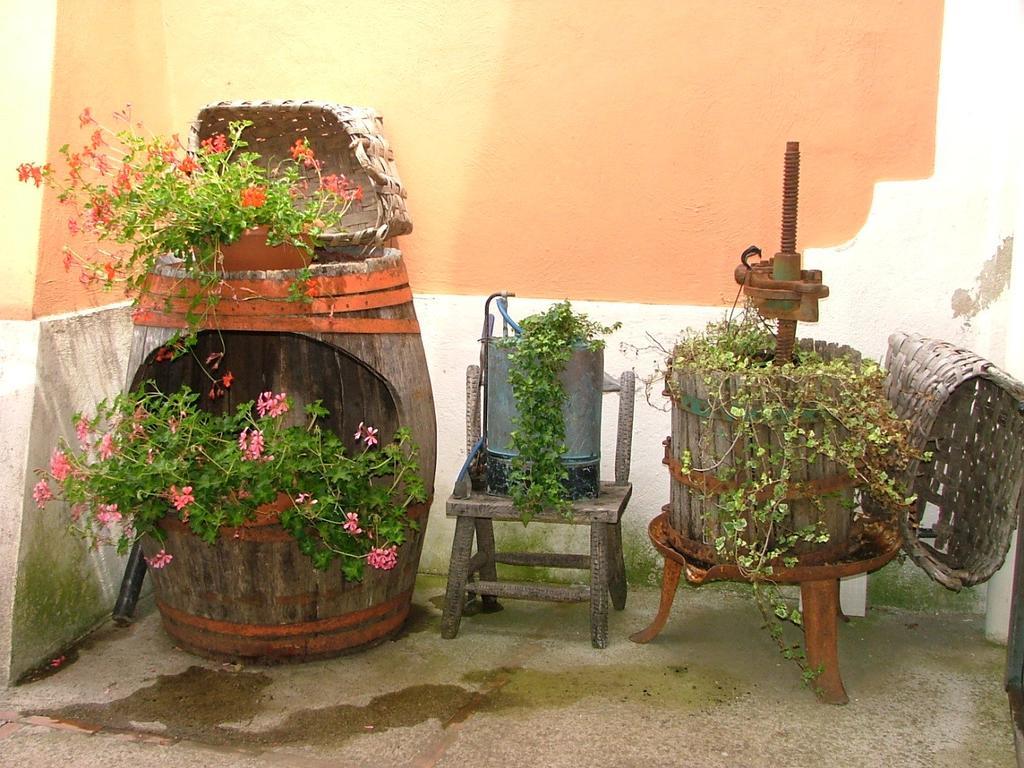 Вилла Agriturismo La Ginestra Вико-Экуенсе Номер фото
